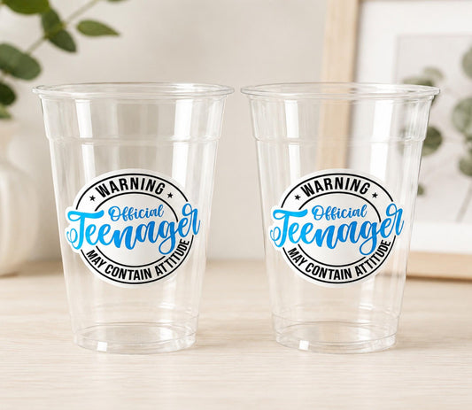 13th Birthday Party Cups - Warning Official Teenager Teenager Party Cups 13th birthday Party Favors 13th Party Decorations 2010 Birthday