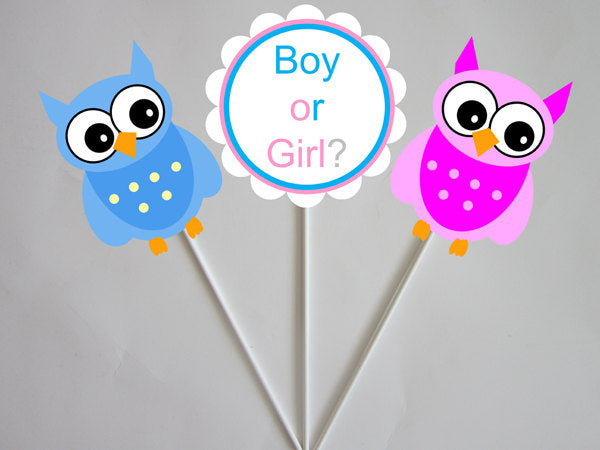 Owl Gender Reveal Cupcake Toppers - Blue Boy and Pink Girl Owls - 87161040A