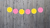 Lemon Banner, Lemon Garland, Lemonade Banner, Lemonade Decorations, Lemonade Birthday Party, Lemon Slices, Lemon Photo Prop