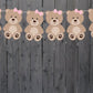 Teddy Bear Goody Bags, Teddybear Goody Bags, Teddy Bear Party Bags, Teddy Bear Favor Bags, Teddy Bear Decorations