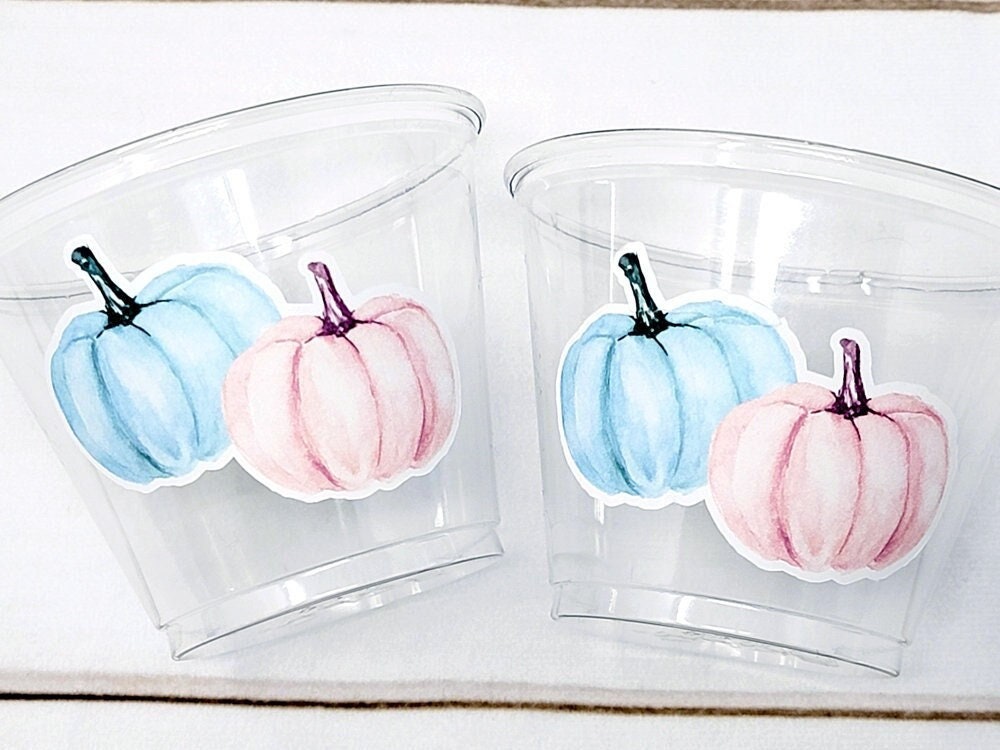 GENDER REVEAL PUMPKIN Party Cups Gender Reveal Baby Shower He or She Cup Pink and Blue Gender Reveal Decoration Little Pumpkin Gender Reveal