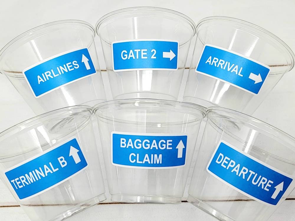 AIRPLANE PARTY CUPS - Airplane Cups Airplane Birthday Cups Airplane Party Favors Pilot Party Plane Birthday Party Airplane Decorations Pilot