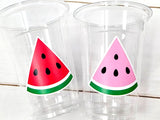 WATERMELON PARTY CUPS - Watermelon Party Favors Watermelon Treat Cups Watermelon Birthday One in a Melon First Birthday 1st Birthday