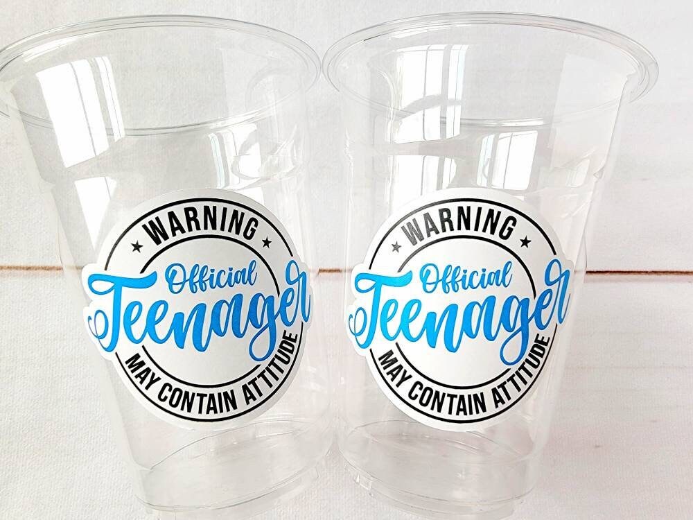 13th Birthday Party Cups - Warning Official Teenager Teenager Party Cups 13th birthday Party Favors 13th Party Decorations 2010 Birthday