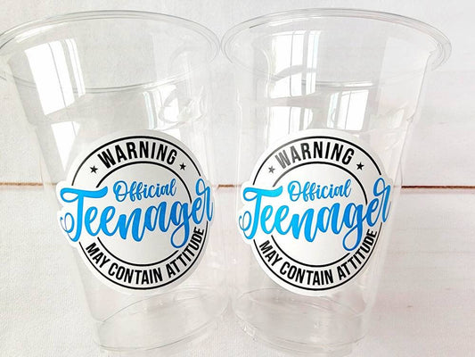 13th Birthday Party Cups - Warning Official Teenager Teenager Party Cups 13th birthday Party Favors 13th Party Decorations 2010 Birthday