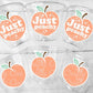 PEACH PARTY CUPS- Peach Birthday Party Peach First Birthday Peach 1st Birthday Peach Party Decorations Peach Party Supplies Just Peachy Cups