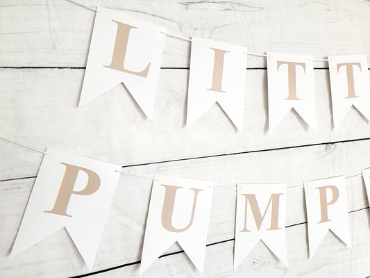 Little Pumpkin Banner, Little Pumpkin Baby Shower, Little Pumpkin Birthday, Pumpkin Banner, Pumpkin Birthday Party