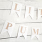 Little Pumpkin Banner, Little Pumpkin Baby Shower, Little Pumpkin Birthday, Pumpkin Banner, Pumpkin Birthday Party