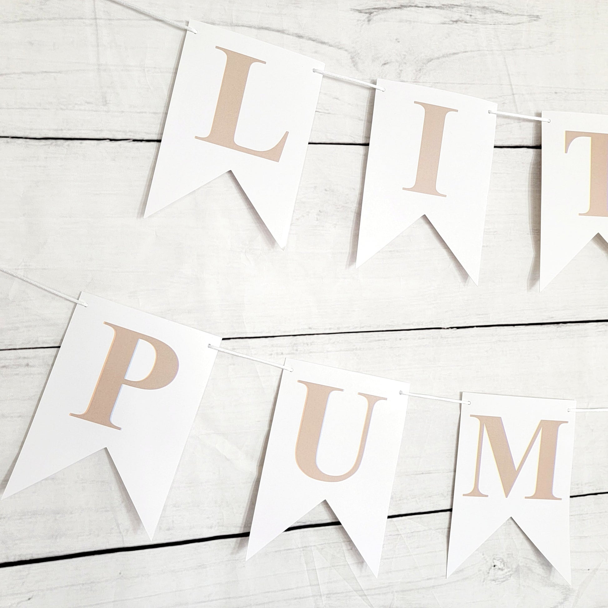 Little Pumpkin Banner, Little Pumpkin Baby Shower, Little Pumpkin Birthday, Pumpkin Banner, Pumpkin Birthday Party