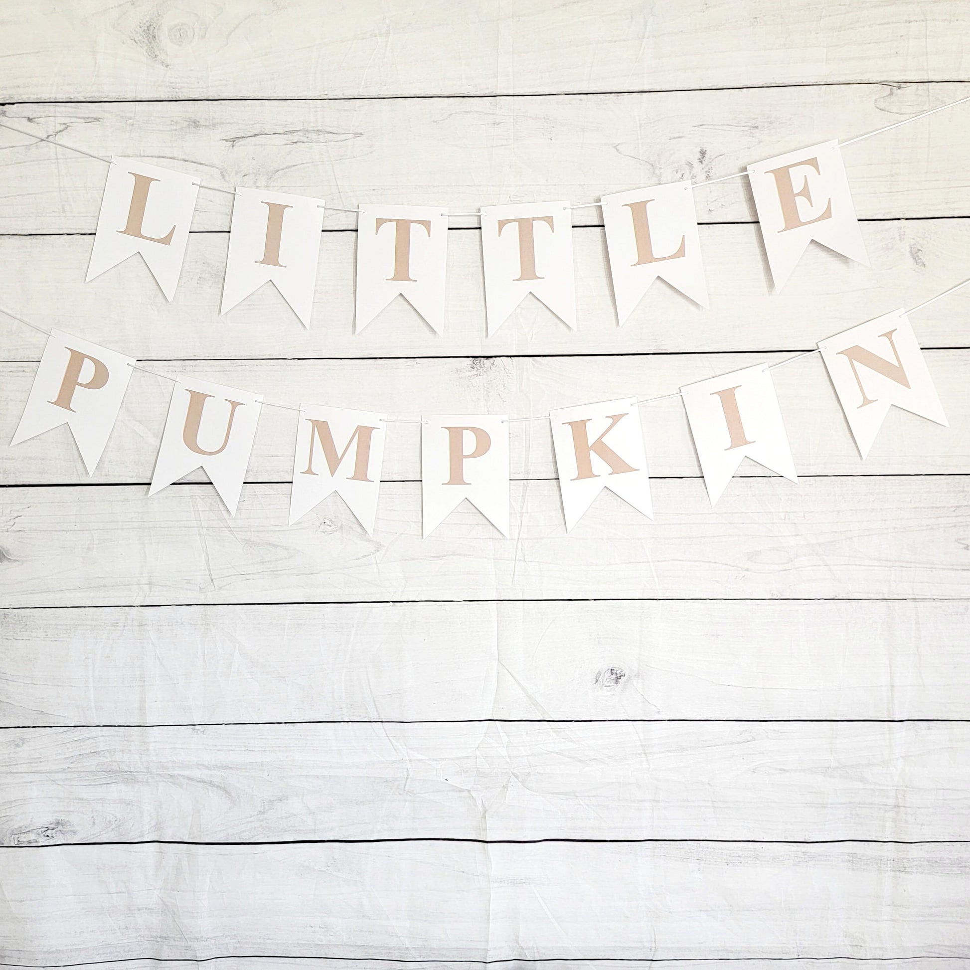 Little Pumpkin Banner, Little Pumpkin Baby Shower, Little Pumpkin Birthday, Pumpkin Banner, Pumpkin Birthday Party