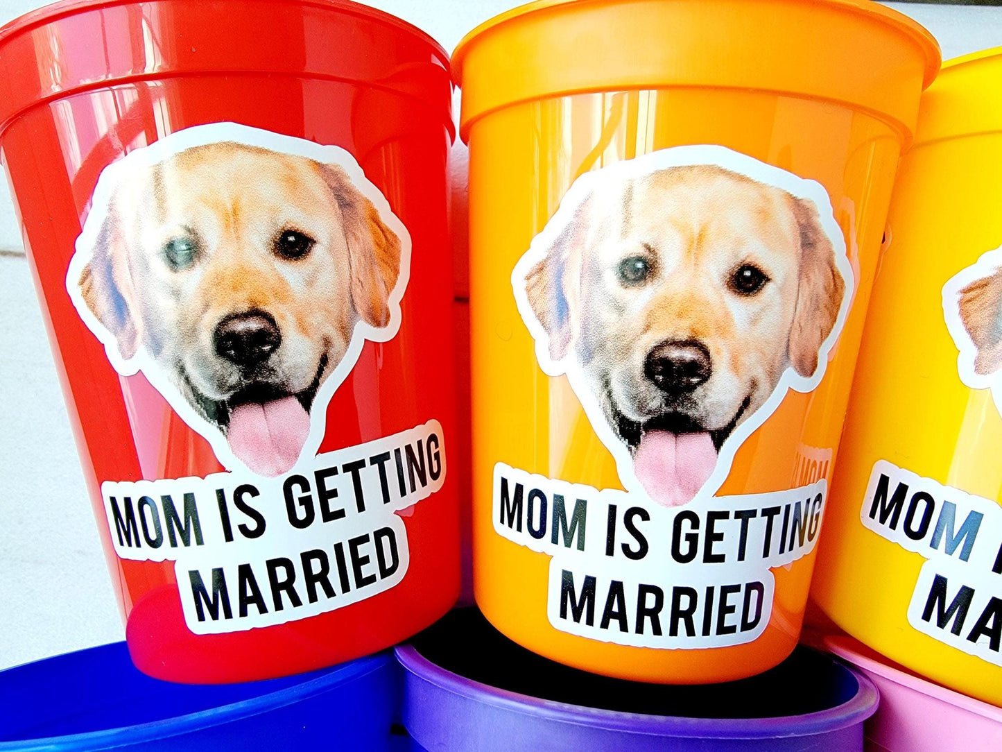 Personalized Dog Face Cups, Mom is Getting Married Cups, Bachelorette Party Favors, Bachelorette Party Games, Dog Face Bachelorette Cups Pet