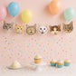 This CAT FACES GARLAND / CAT BANNER would be perfect for your cat birthday party, etc...  You can use it to decorate a wall, nursery, room, backdrop, dessert table, used as a photo prop and more. It can be used for so many things!
