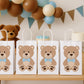 Teddy Bear Goody Bags, Teddybear Goody Bags, Teddy Bear Party Bags, Teddy Bear Favor Bags, Teddy Bear Decorations