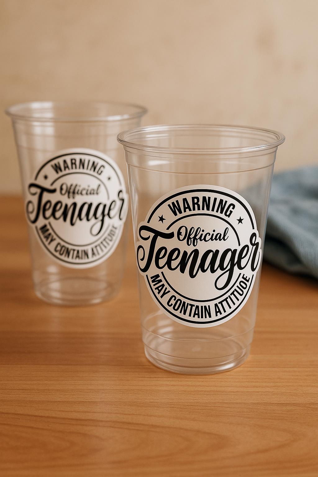 13th Birthday Party Cups - Warning Official Teenager Teenager Party Cups 13th birthday Party Favors 13th Party Decorations 2011 Birthday