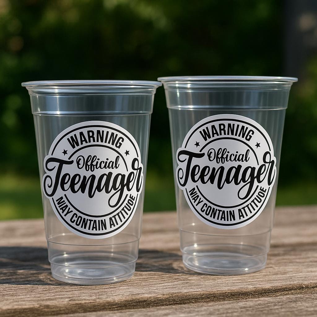 13th Birthday Party Cups - Warning Official Teenager Teenager Party Cups 13th birthday Party Favors 13th Party Decorations 2011 Birthday