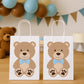 Teddy Bear Goody Bags, Teddybear Goody Bags, Teddy Bear Party Bags, Teddy Bear Favor Bags, Teddy Bear Decorations