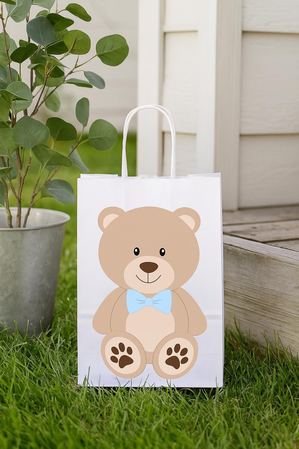 Teddy Bear Goody Bags, Teddybear Goody Bags, Teddy Bear Party Bags, Teddy Bear Favor Bags, Teddy Bear Decorations