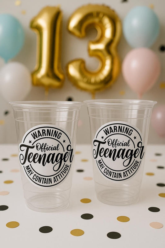 13th Birthday Party Cups - Warning Official Teenager Teenager Party Cups 13th birthday Party Favors 13th Party Decorations 2010 Birthday