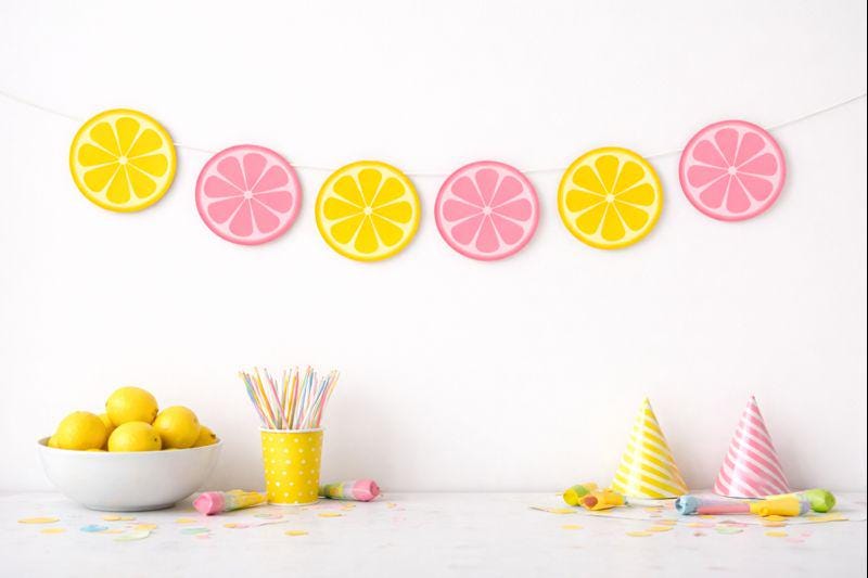 Lemon Banner, Lemon Garland, Lemonade Banner, Lemonade Decorations, Lemonade Birthday Party, Lemon Slices, Lemon Photo Prop, Citrus Fruit