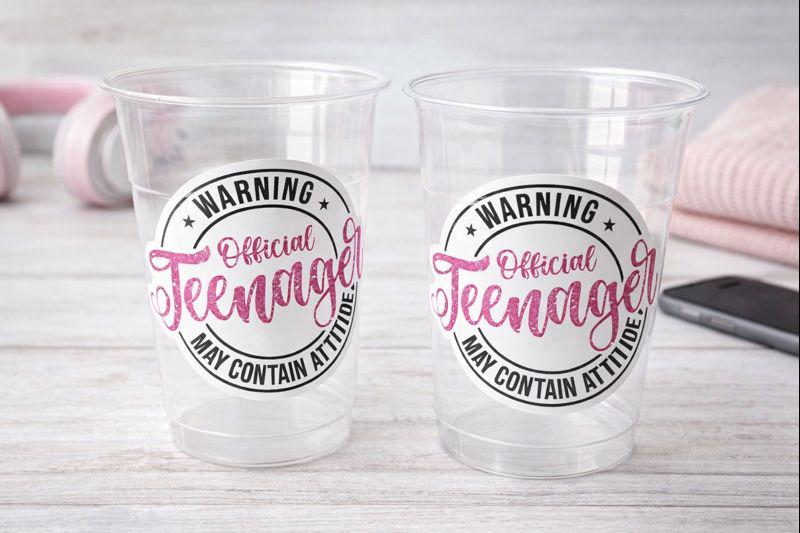 13th Birthday Party Cups - Warning Official Teenager Teenager Party Cups 13th birthday Party Favors 13th Party Decorations Teen Birthday Cup