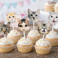 Cat Cupcake Toppers, Cat Party Cupcake Toppers, Cat Faces Cupcake Toppers