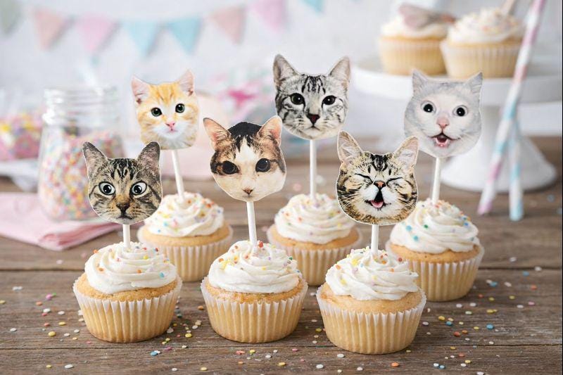 Cat Cupcake Toppers, Cat Party Cupcake Toppers, Cat Faces Cupcake Toppers