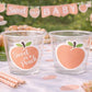PEACH PARTY CUPS- Peach Birthday Party Peach First Birthday Peach 1st Birthday Peach Party Decorations Peach Party Supplies Sweet as a Peach