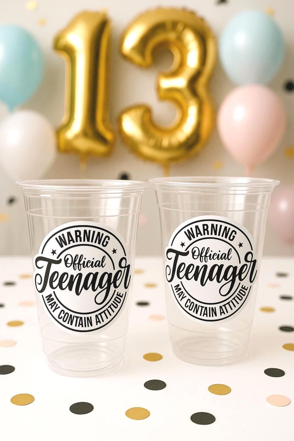 13th Birthday Party Cups - Warning Official Teenager Teenager Party Cups 13th birthday Party Favors 13th Party Decorations 2011 Birthday