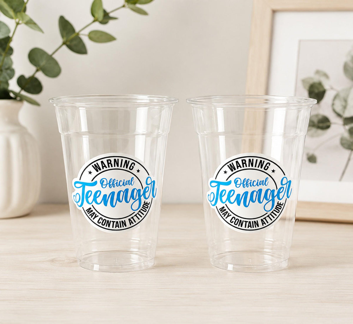 13th Birthday Party Cups - Warning Official Teenager Teenager Party Cups 13th birthday Party Favors 13th Party Decorations 2010 Birthday