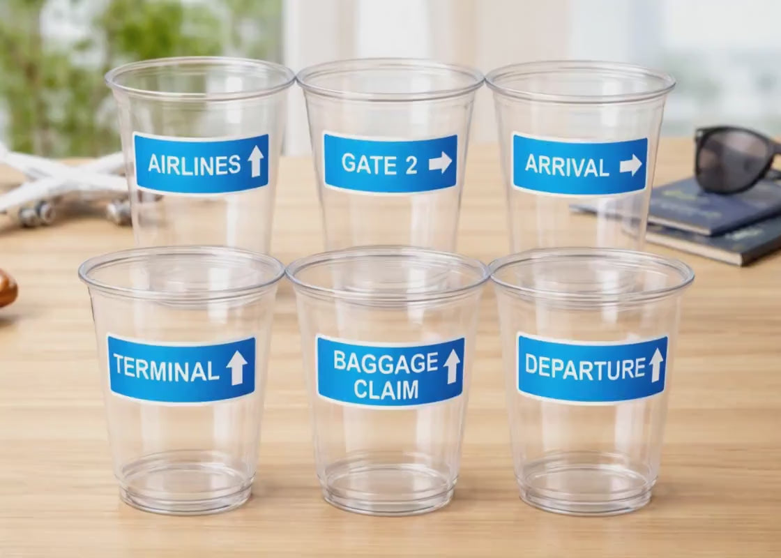 AIRPLANE PARTY CUPS - Airplane  Birthday Cups 16oz, Airplane Party Favors Pilot Party Plane Birthday Party Airplane Decorations Supplies