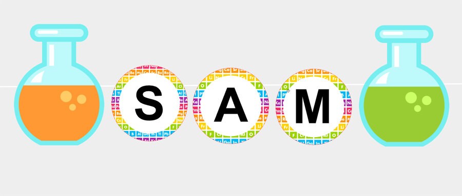 Science Goody Bags, Scientist Goody Bags, Science Favor Bags, Scientist Favor Bags, Kid Scientist, Science Favors, test tube goody bags