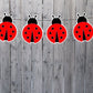 Red Ladybug Banner, Red Ladybug Garland, Red Ladybug Decoration, Red Ladybug Baby Shower, Red Ladybug Birthday, Red Ladybug Photo Prop