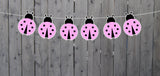 Pink Ladybug Banner, Pink Ladybug Garland, Pink Ladybug Decoration, Pink Ladybug Baby Shower, Pink Ladybug Birthday, Pink Ladybug Photo Prop