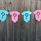 Gender Reveal Banner, Gender Reveal, Gender Reveal Party, Girl / Boy Banner, Gender Reveal Banner, Gender Reveal Party, 218181123A