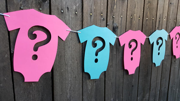 Gender Reveal Banner, Gender Reveal, Gender Reveal Party, Girl / Boy Banner, Gender Reveal Banner, Gender Reveal Party, 218181123A