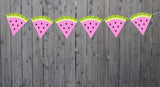 Watermelon Garland, Watermelon Banner, Watermelon Decoration, Fruit Banner,  Fruit Garland, Barbecue Party