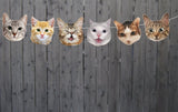 Cat Cupcake Toppers, Cat Party Cupcake Toppers, Cat Faces Cupcake Toppers