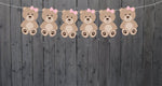 Teddy Bear Garland, Teddy Bear Banner, Teddy Bear Decorations, Teddy Banner, Teddy Bear Birthday, Teddy Bear Baby Shower, Teddy Bear Nursery