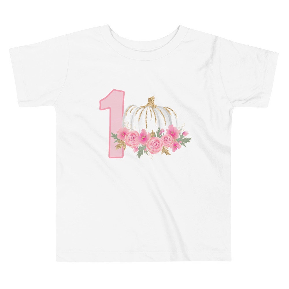 Pumpkin Shirt, 1st Birthday Pumpkin Shirt, 1st Birthday Party Shirt, Fall 1st Birthday Shirt