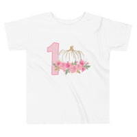 Pumpkin Shirt, 1st Birthday Pumpkin Shirt, 1st Birthday Party Shirt, Fall 1st Birthday Shirt