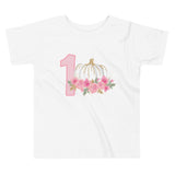 Pumpkin Shirt, 1st Birthday Pumpkin Shirt, 1st Birthday Party Shirt, Fall 1st Birthday Shirt
