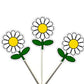 DAISY Garland, Daisy Banner, Daisy Birthday, Daisy Party, Daisy Party Decorations, Daisy Party Supplies, Daisy Home Decorations, Photo Prop