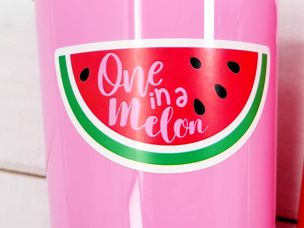 WATERMELON PARTY CUPS - Watermelon Party Favors Watermelon Treat Cups Watermelon Birthday One in a Melon First Birthday 1st Birthday
