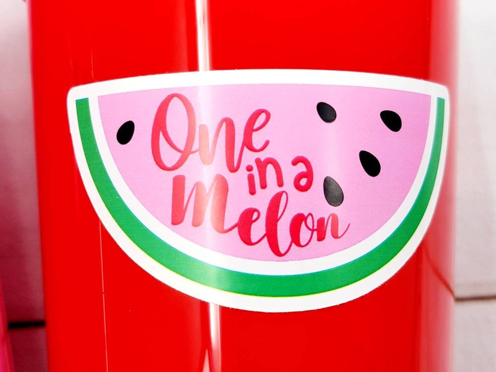 WATERMELON PARTY CUPS - Watermelon Party Favors Watermelon Treat Cups Watermelon Birthday One in a Melon First Birthday 1st Birthday
