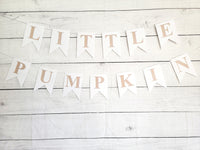 Little Pumpkin Banner, Little Pumpkin Baby Shower, Little Pumpkin Birthday, Pumpkin Banner, Pumpkin Birthday Party