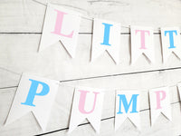 Little Pumpkin Gender Reveal Little Pumpkin Banner Little Pumpkin Baby Shower Little Pumpkin Birthday Pumpkin Banner Pumpkin Pink and Blue