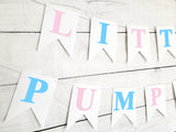 Little Pumpkin Gender Reveal Little Pumpkin Banner Little Pumpkin Baby Shower Little Pumpkin Birthday Pumpkin Banner Pumpkin Pink and Blue