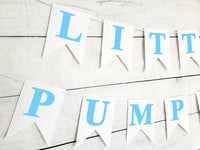 Blue Little Pumpkin Banner, Little Pumpkin Baby Shower, Little Pumpkin Birthday, Pumpkin Banner, Pumpkin Birthday Party