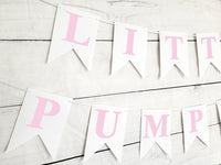 Pink Little Pumpkin Banner, Little Pumpkin Baby Shower, Little Pumpkin Birthday, Pumpkin Banner, Pumpkin Birthday Party
