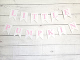 Pink Little Pumpkin Banner, Little Pumpkin Baby Shower, Little Pumpkin Birthday, Pumpkin Banner, Pumpkin Birthday Party
